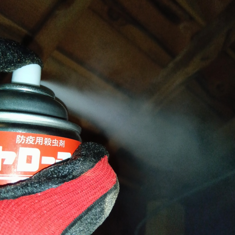 天井裏に殺虫剤をスプレー