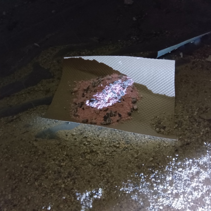 床下に殺鼠剤を設置