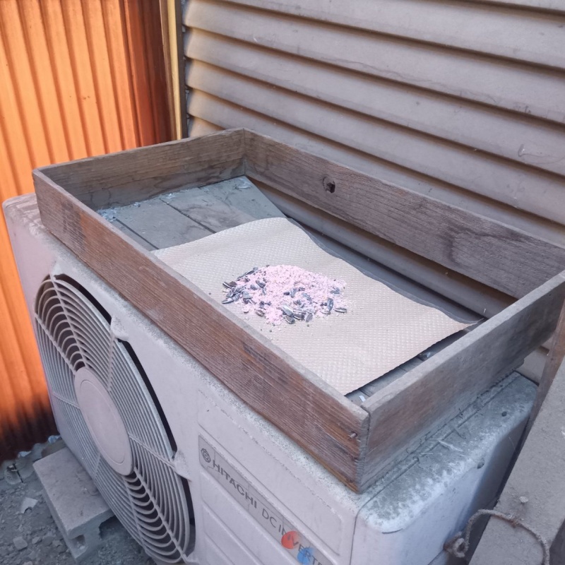 ネズミ駆除の施工事例（岐阜県各務原市小佐野町）