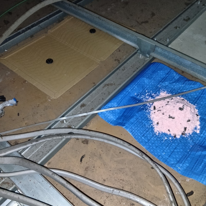 天井裏に殺鼠剤と粘着シートを設置