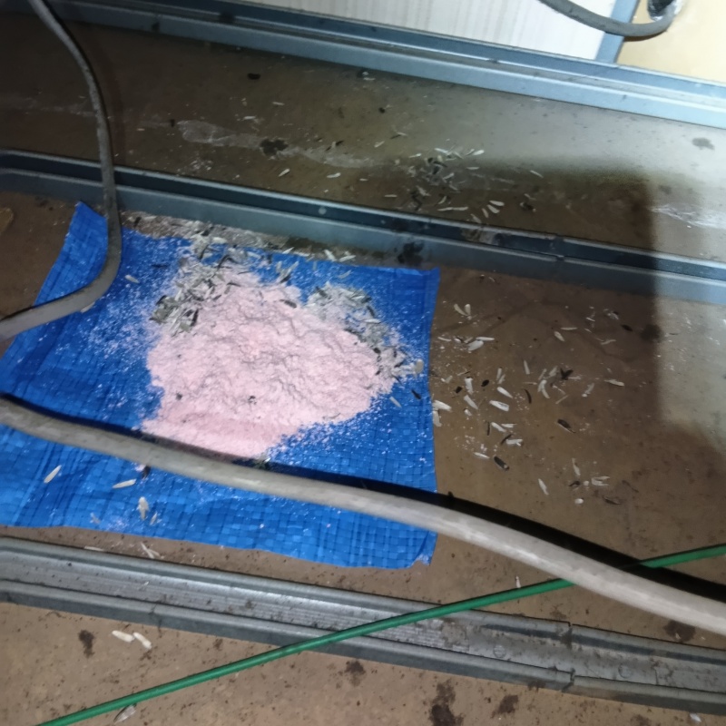 ネズミが殺鼠剤を食べたあと