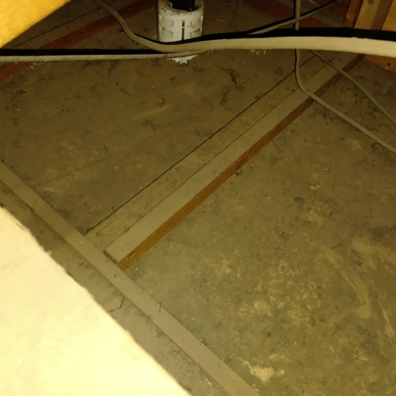 清掃が完了した様子