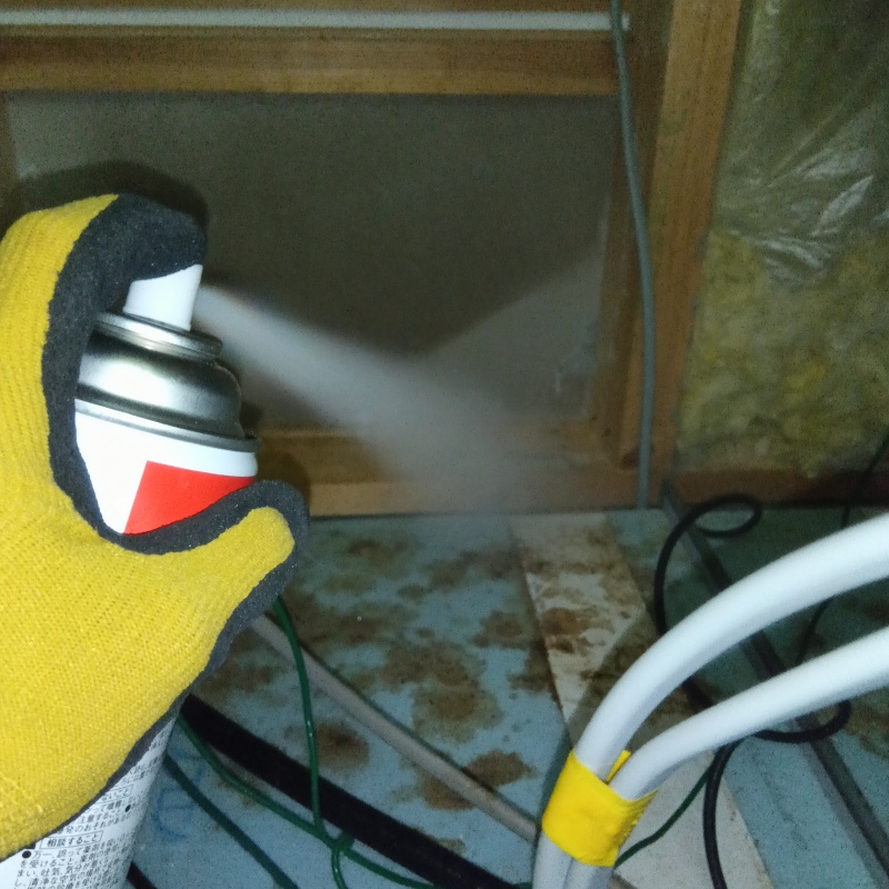 天井裏に殺虫剤をスプレー