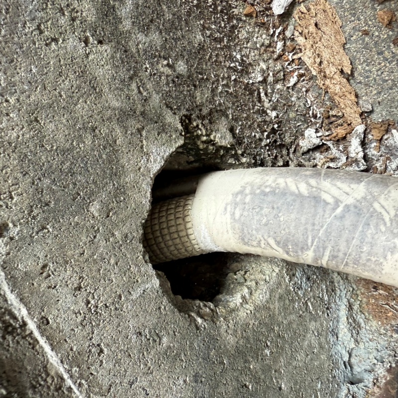 ネズミ駆除の施工事例（岐阜県岐阜市池ノ上町）