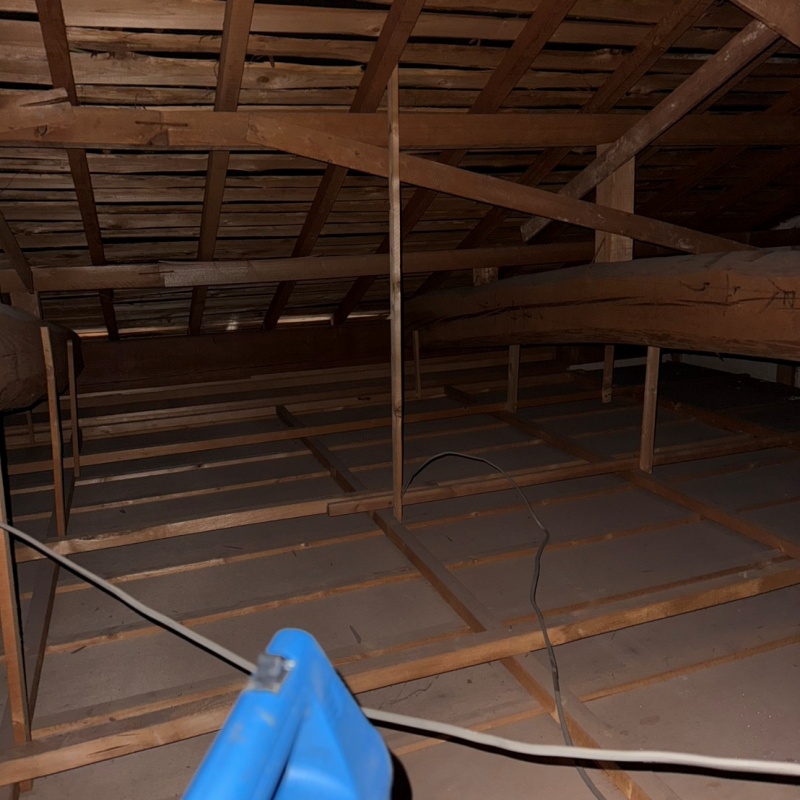 噴霧器で除菌剤を散布