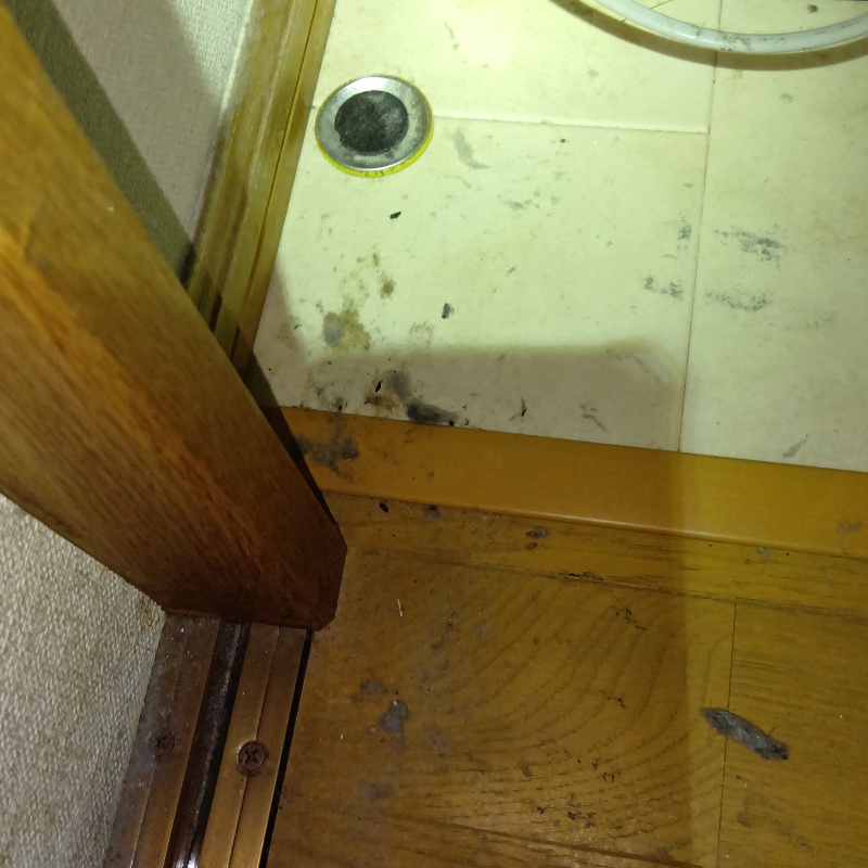 ネズミ駆除の施工事例（兵庫県三田市けやき台）