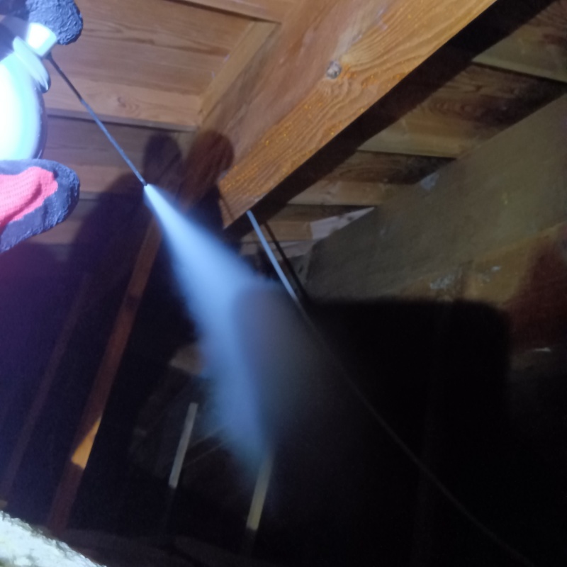 天井裏に殺虫剤をスプレー