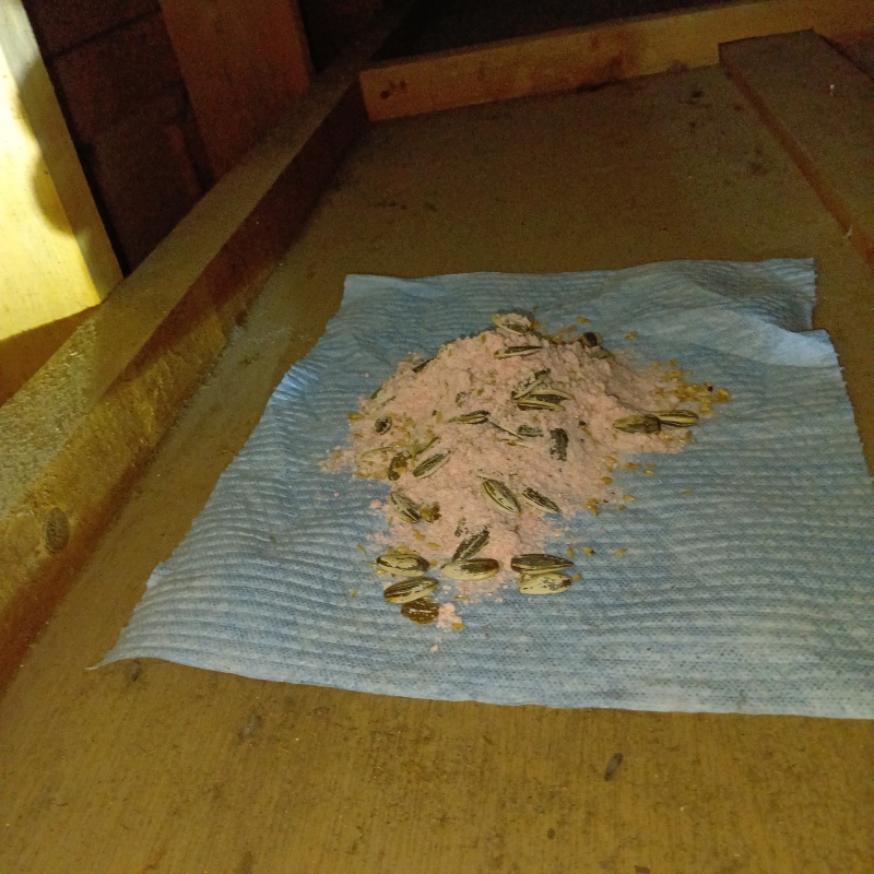 天井裏に殺鼠剤を設置