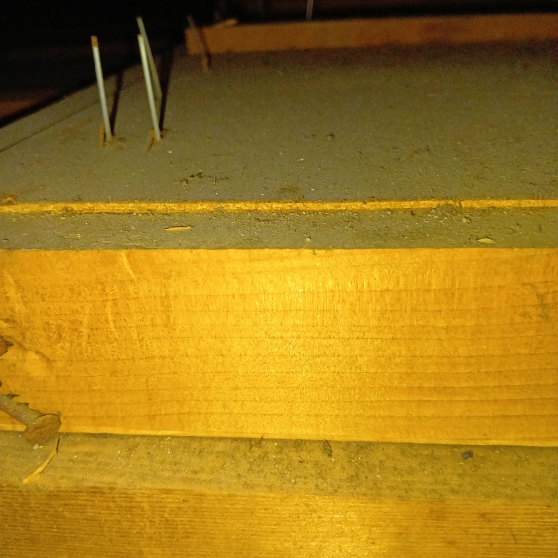 清掃が完了した様子