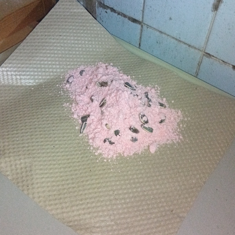 壁際に殺鼠剤を設置