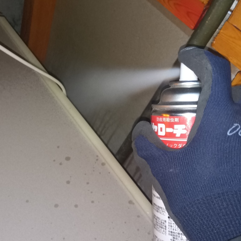 天井裏に殺虫剤をスプレー