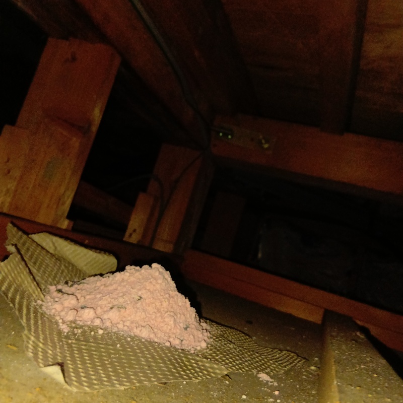 ネズミ予防の施工事例（千葉県流山市鰭ケ崎）