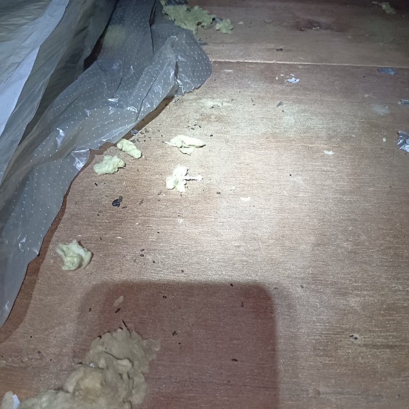 ネズミ駆除の施工事例（宮城県登米市南方町畑岡）