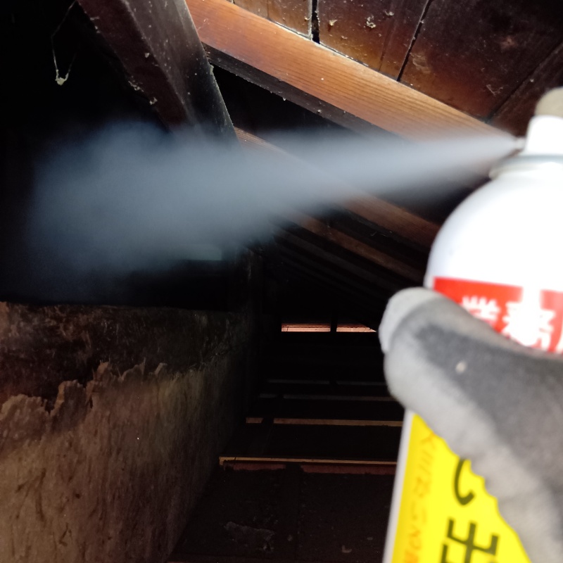 屋根裏に忌避スプレーを散布