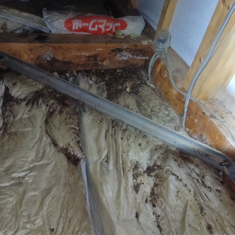 フンで汚れた断熱材