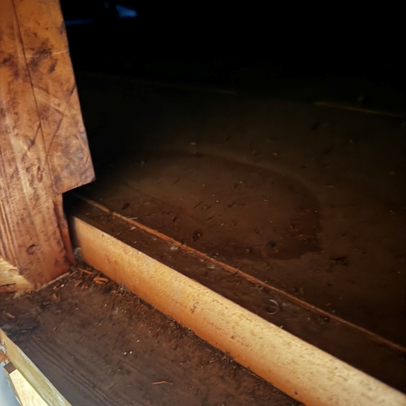 ネズミ駆除の施工事例（愛媛県松山市福角町）