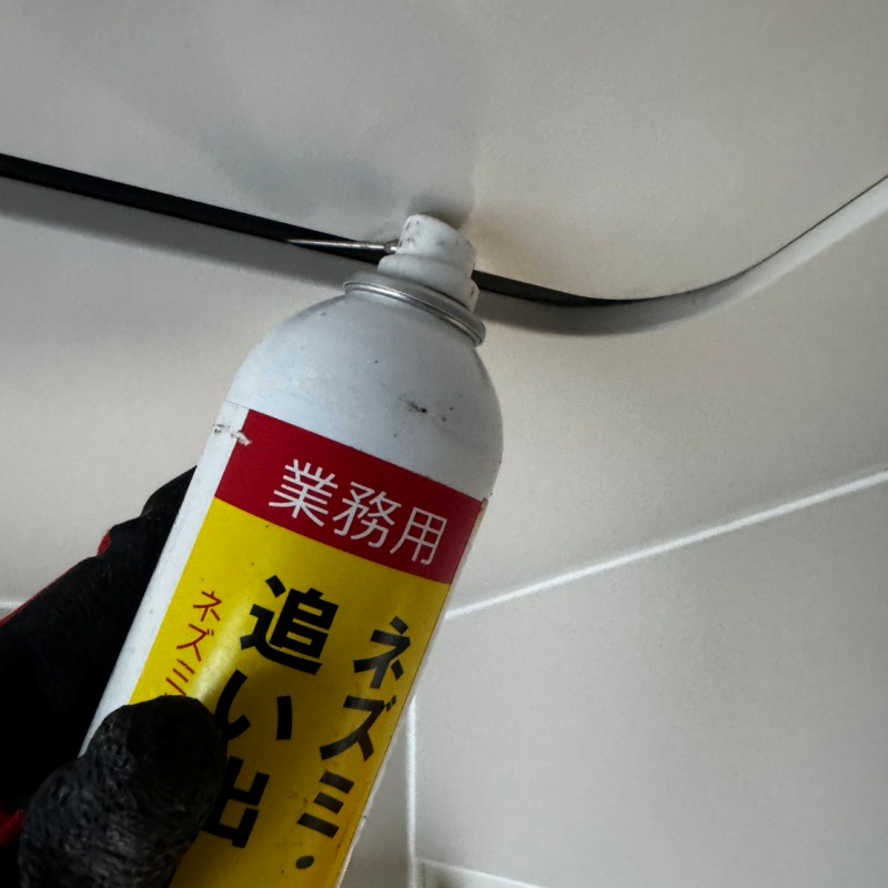 天井のすき間から忌避スプレーを散布