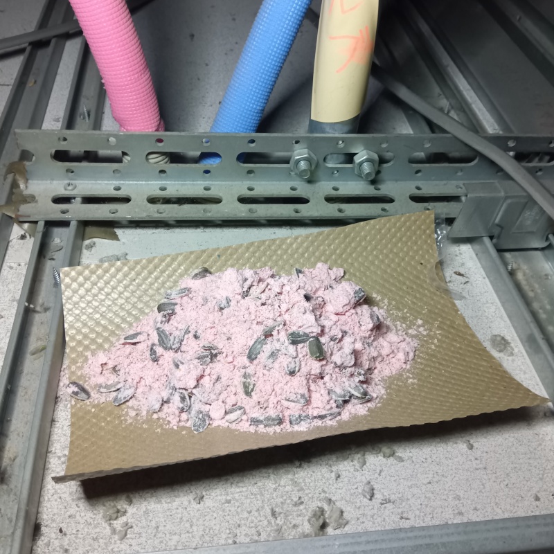 天井裏に殺鼠剤を設置