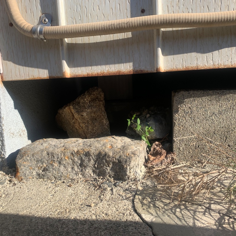 ネズミ駆除の施工事例（三重県多気郡明和町大淀甲）