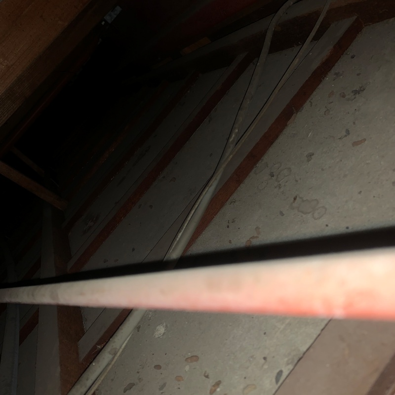 フンなどで汚れた天井裏