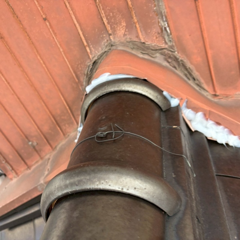 ネズミ駆除の施工事例（山口県周南市徳山中金剛山）