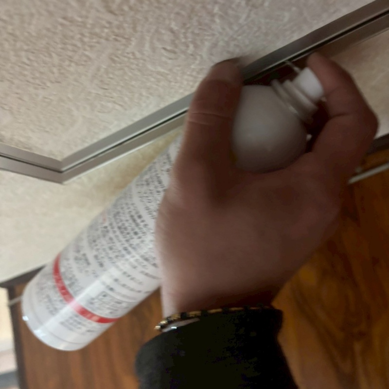 天井の点検口のすき間から忌避剤をスプレー