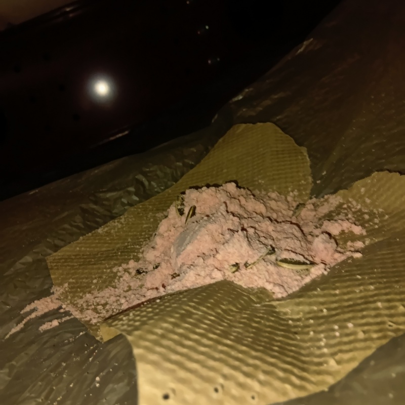 ネズミ駆除の施工事例（千葉県柏市松葉町）