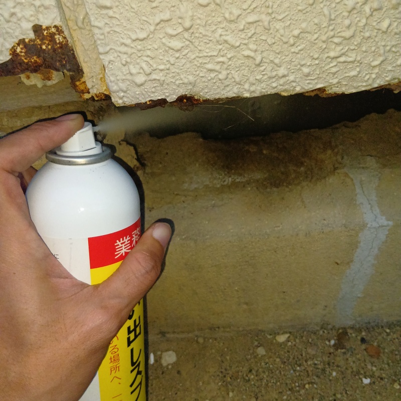 ネズミ駆除の施工事例（宮城県宮城郡松島町磯崎蟹松）