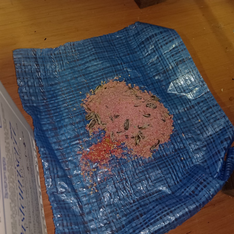 室内に殺鼠剤を設置