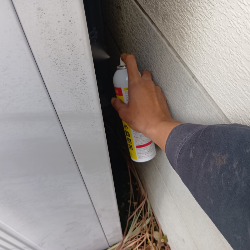 壁と壁の間に忌避剤をスプレー