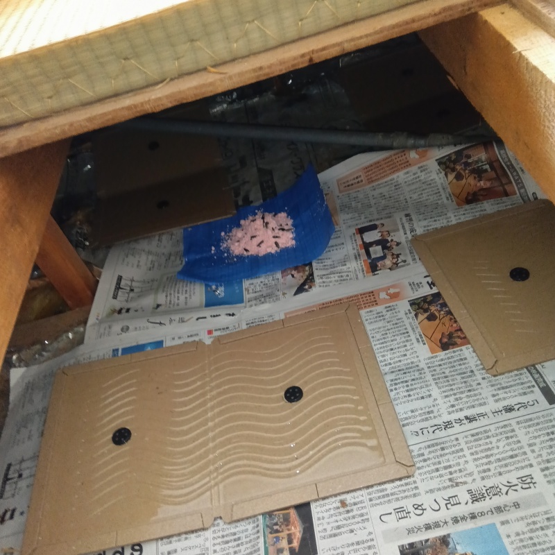 殺鼠剤のまわりに粘着シートを配置