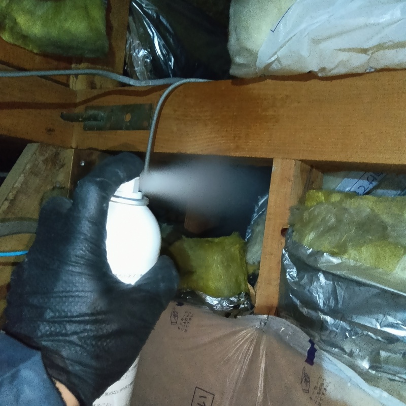 殺虫剤をスプレー