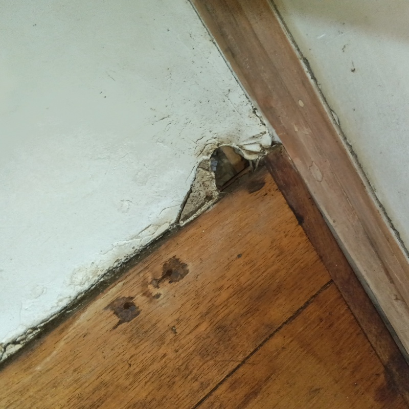 ネズミ駆除の施工事例（神奈川県川崎市多摩区枡形）