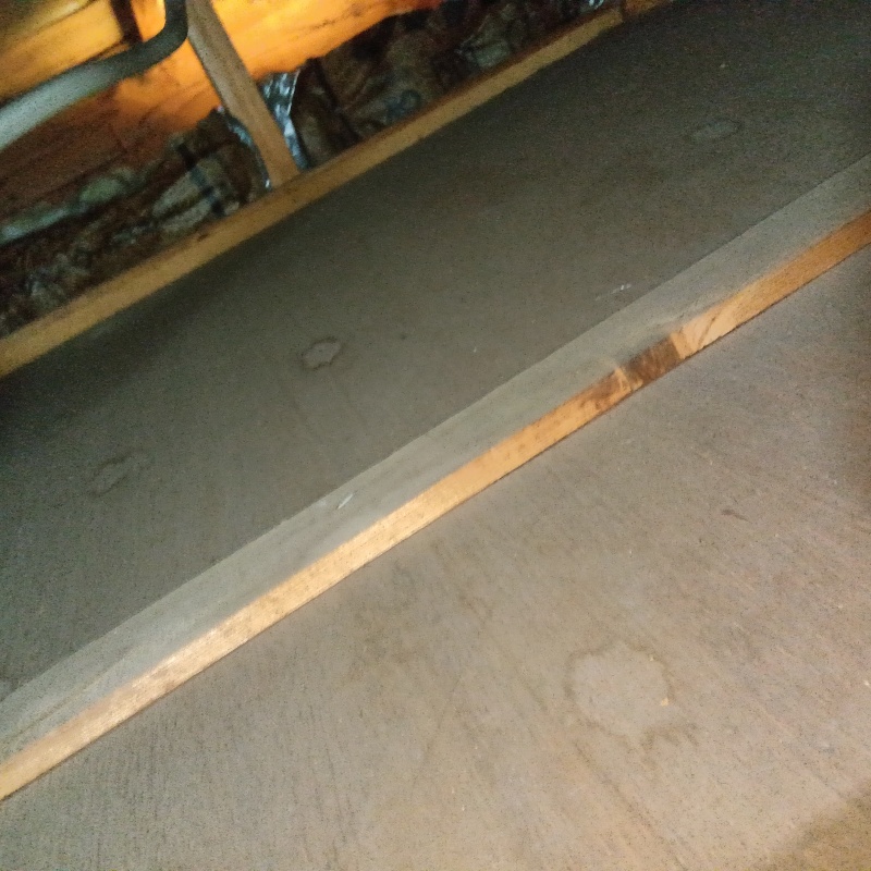 清掃が完了した様子