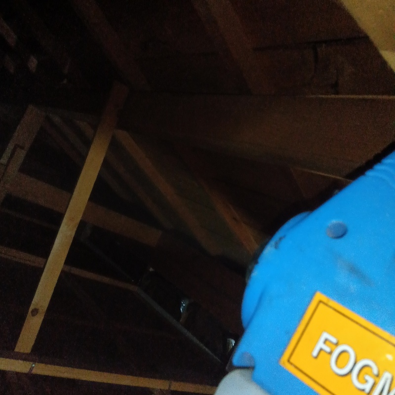 噴霧器で除菌剤を散布