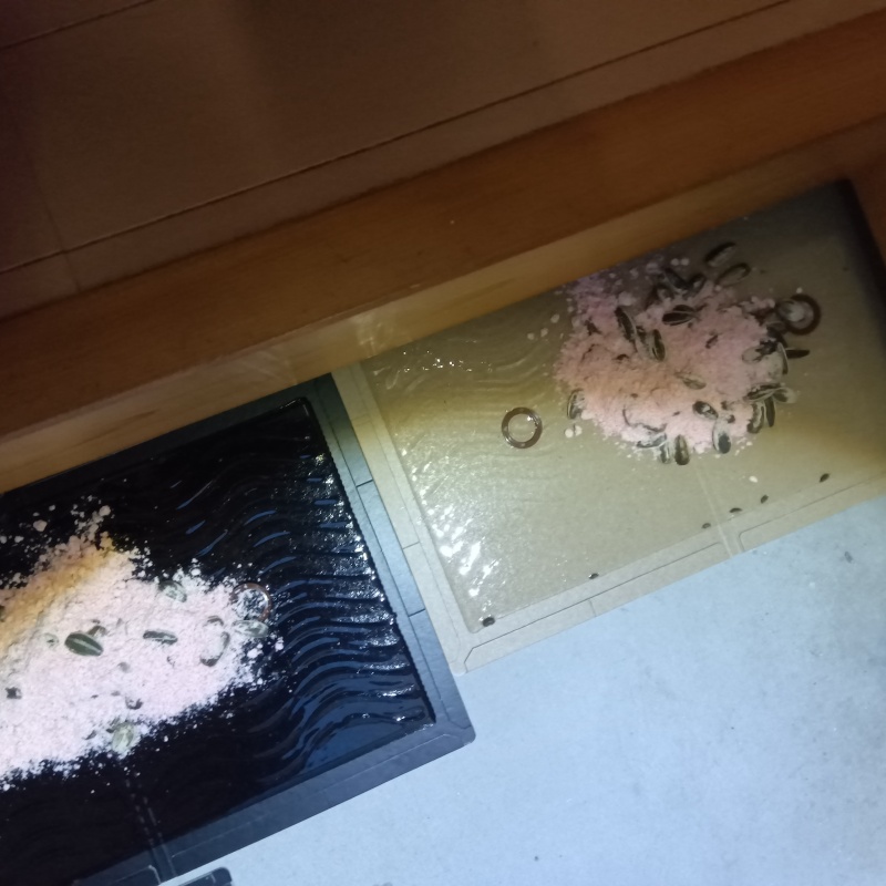 ネズミ駆除の施工事例（福井県福井市月見）