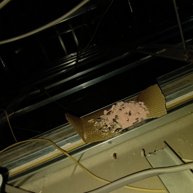 ネズミ駆除の施工事例（福井県坂井市）