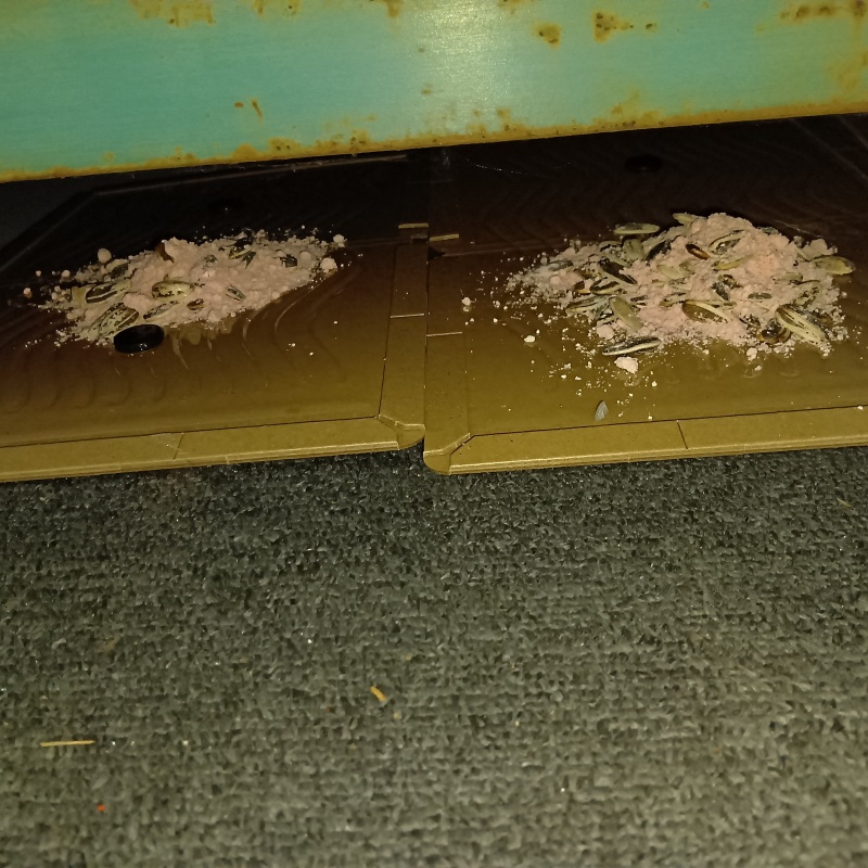 什器の下に殺鼠剤を設置