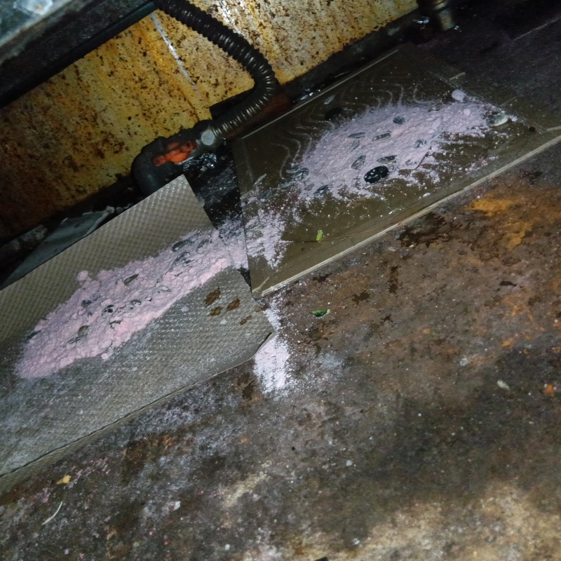 ネズミが殺鼠剤を食べたあと