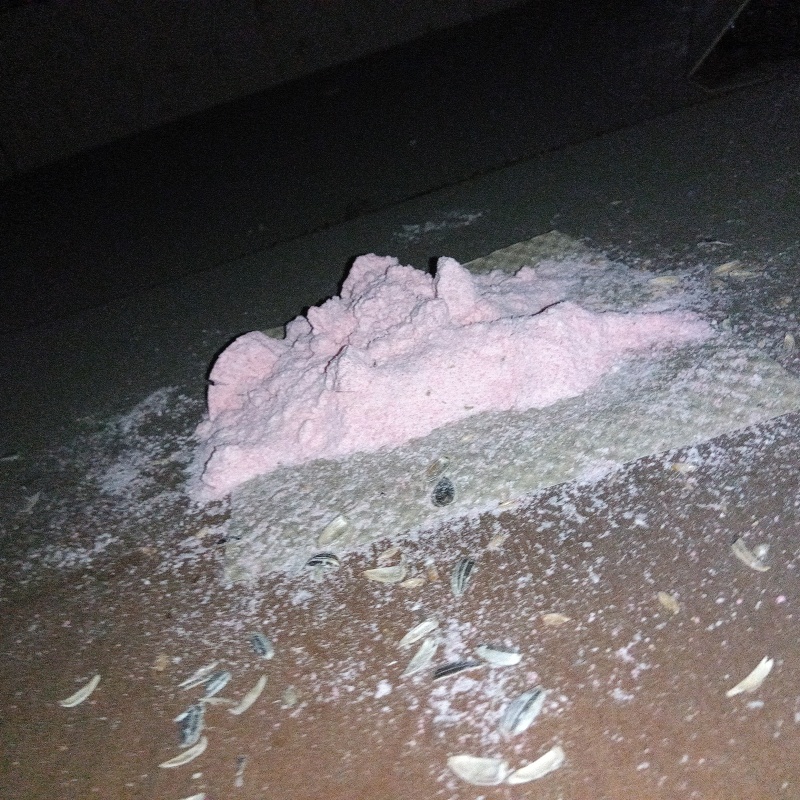 ネズミが殺鼠剤を食べたあと