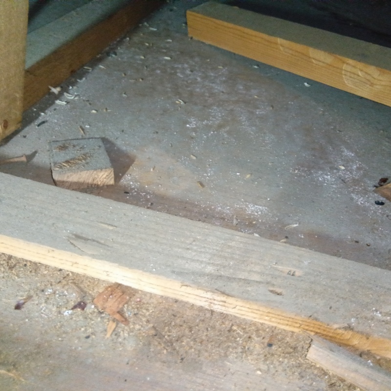 天井裏のフン汚れ