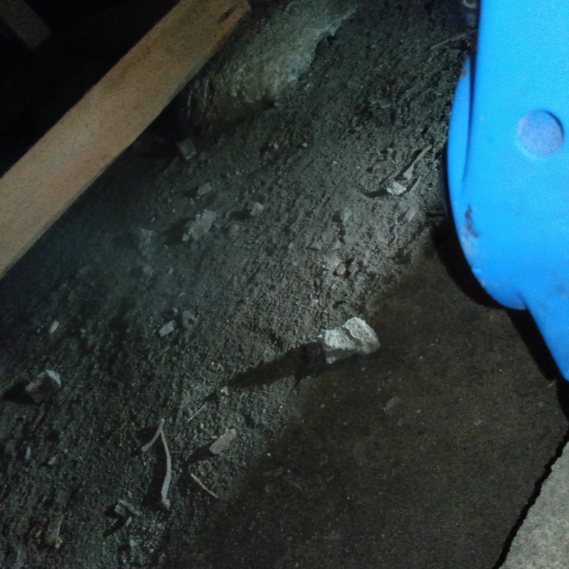 床下に噴霧器で除菌・消臭剤を散布