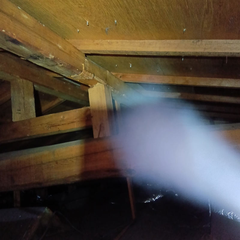 殺虫剤をスプレー