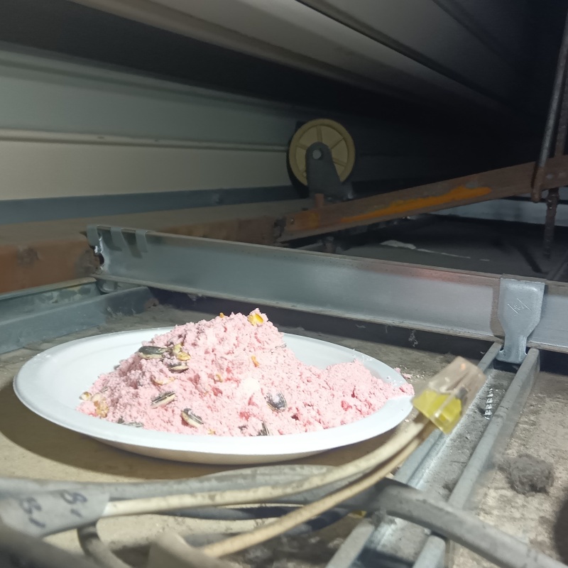 ネズミ駆除の施工事例（岡山県岡山市北区）