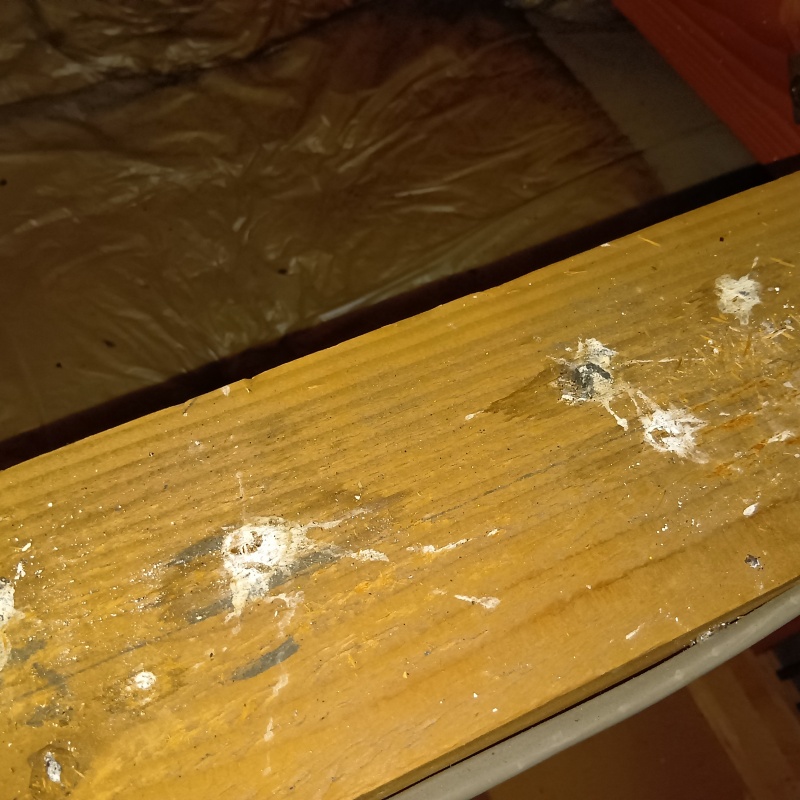 イタチ駆除の施工事例（長崎県大村市片町）