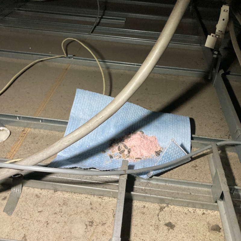 ネズミ駆除の施工事例（神奈川県横浜市緑区）