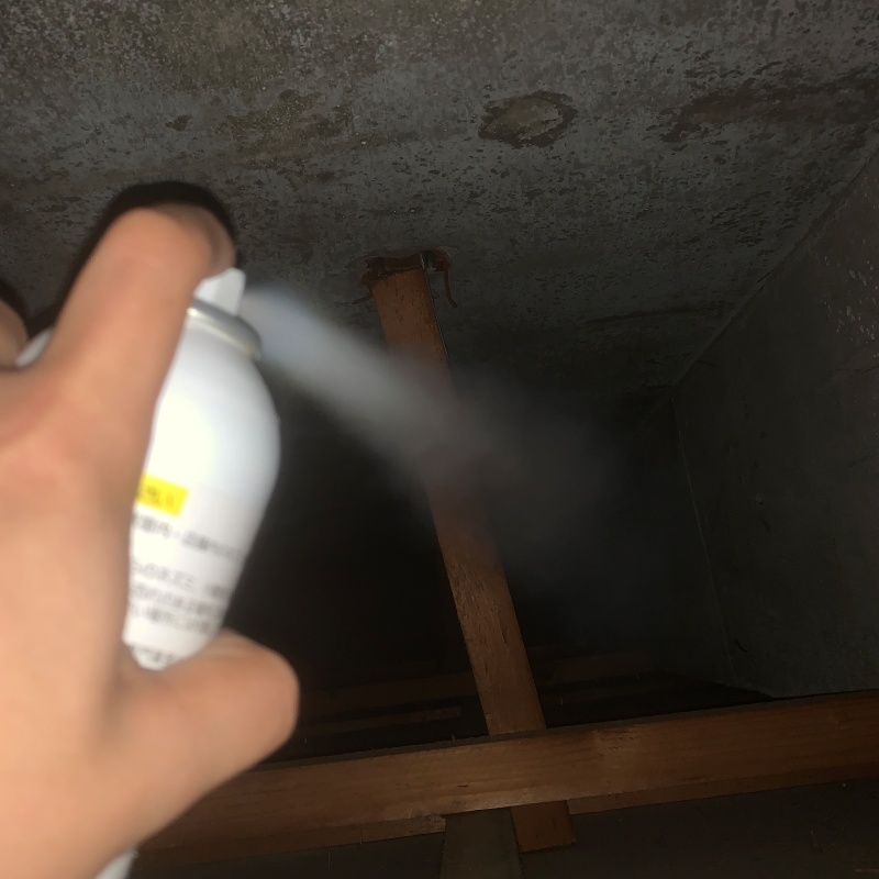 屋根裏に忌避スプレーを散布