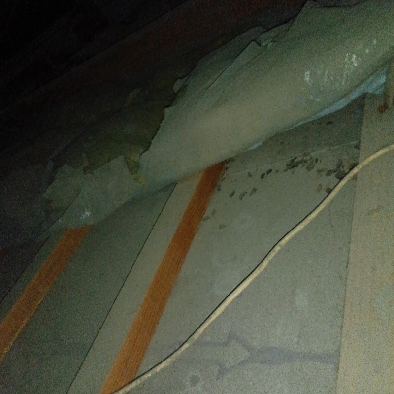 ネズミ駆除の施工事例（埼玉県朝霞市上内間木）