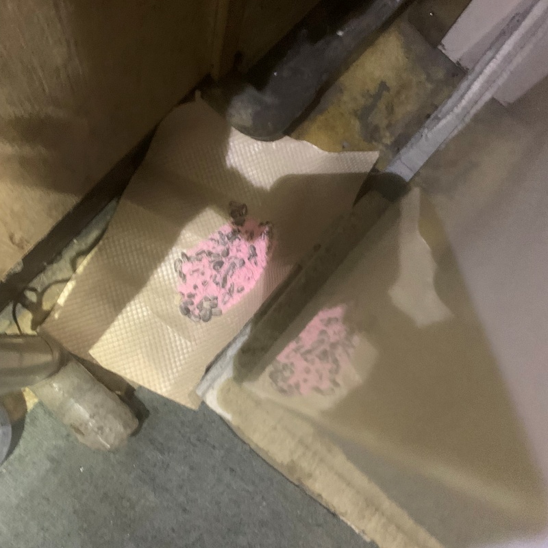 ネズミ駆除の施工事例（愛知県名古屋市緑区）