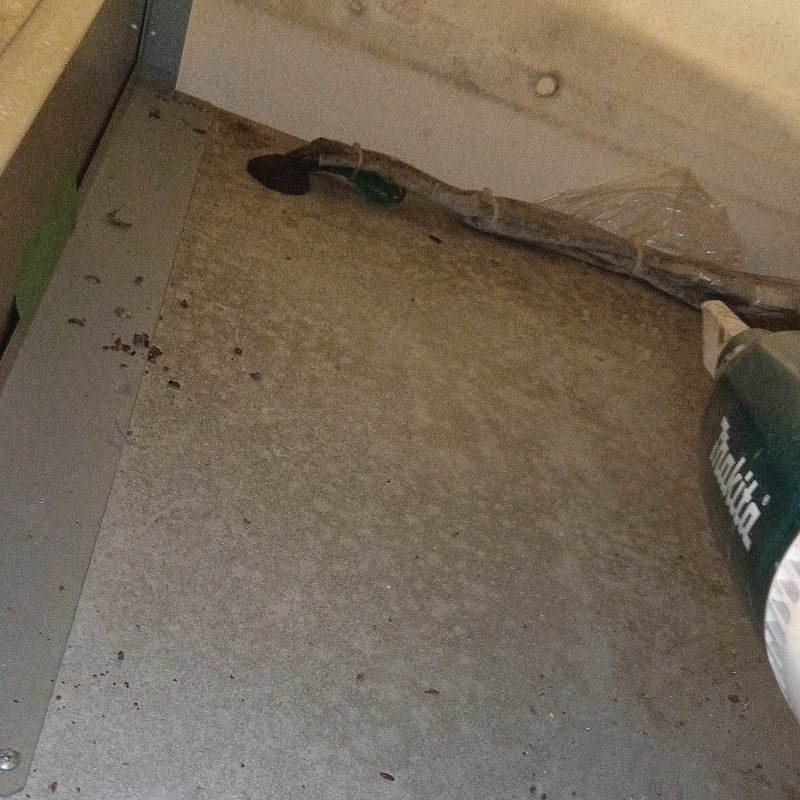 掃除機でフンを回収